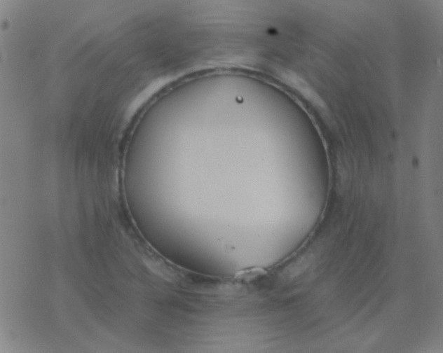 X0000075841316200610061837