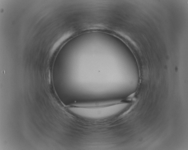 X0000075841317200610061837