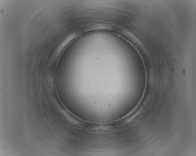 X0000075841321200610061837