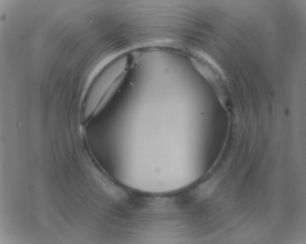 X0000075841324200610061837