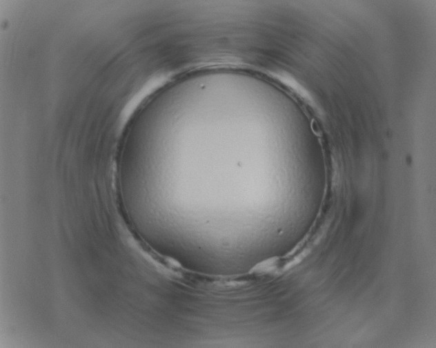 X0000075841325200610061837