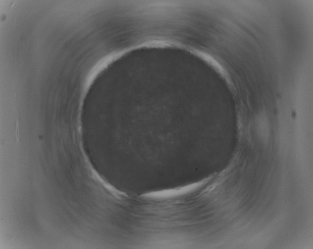 X0000075841327200610061837