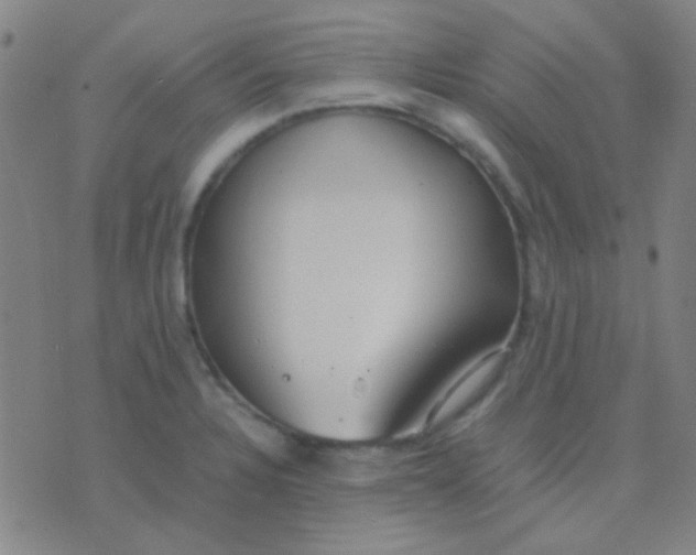 X0000075841328200610061837