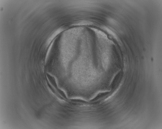 X0000075841329200610061837