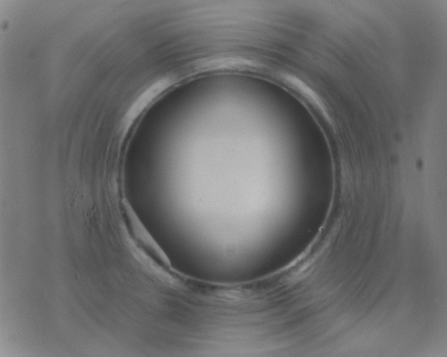 X0000075841330200610061837