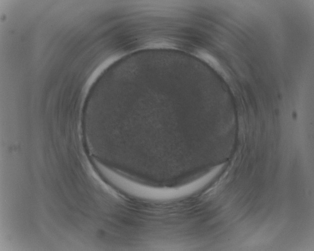 X0000075841331200610061837