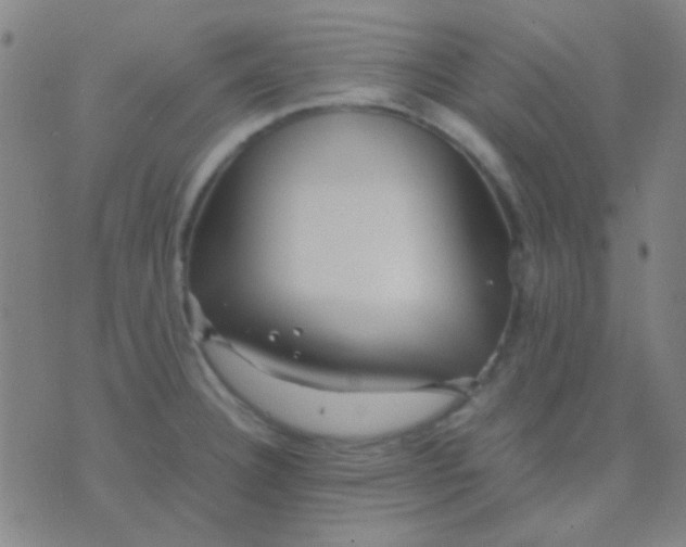 X0000075841332200610061837