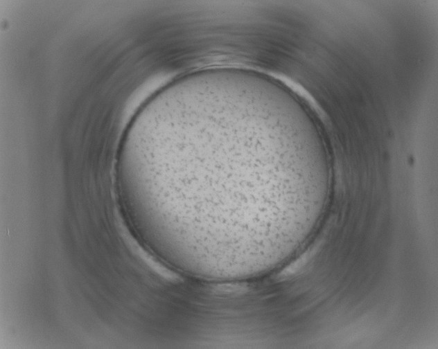 X0000075841333200610061837