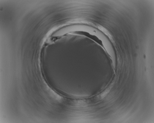 X0000075841334200610061837