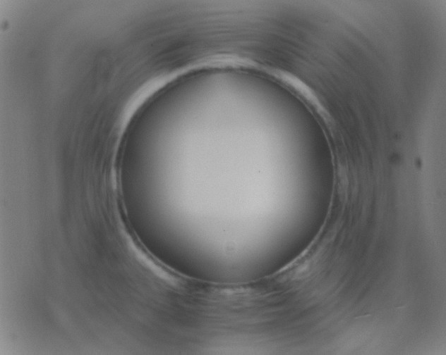 X0000075841335200610061837