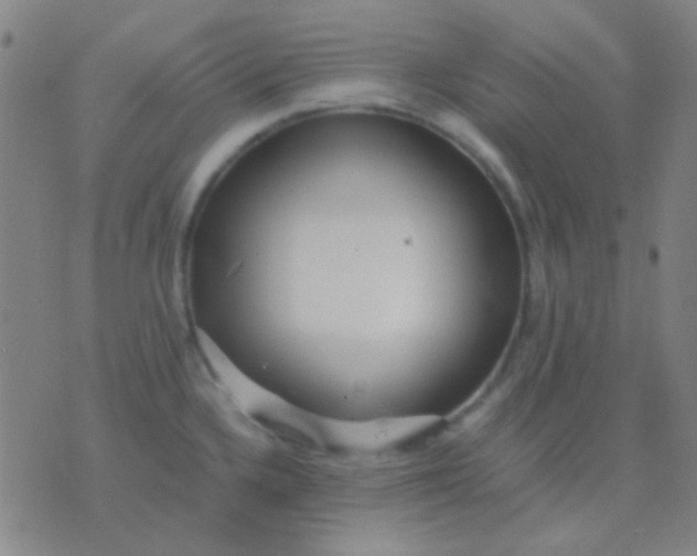 X0000075841336200610061837