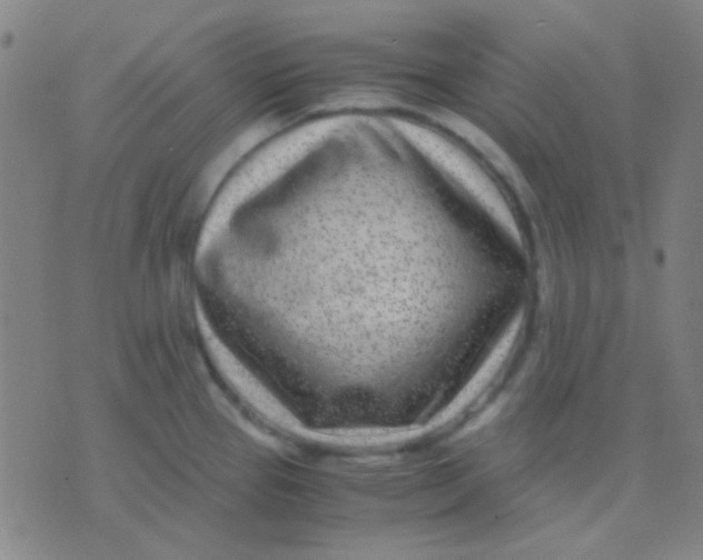 X0000075841337200610061837