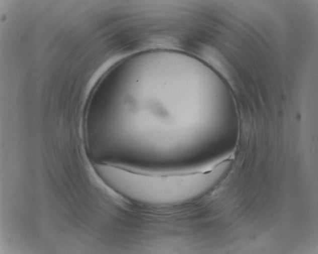 X0000075841339200610061837