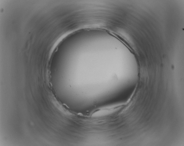 X0000075841340200610061837