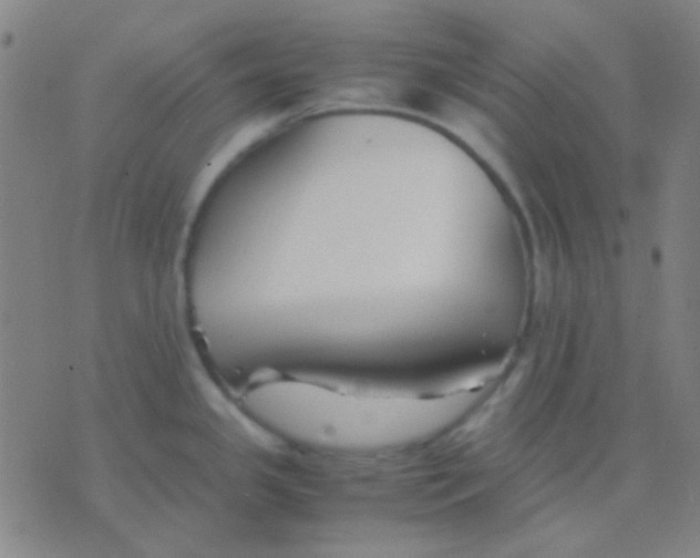 X0000075841341200610061837