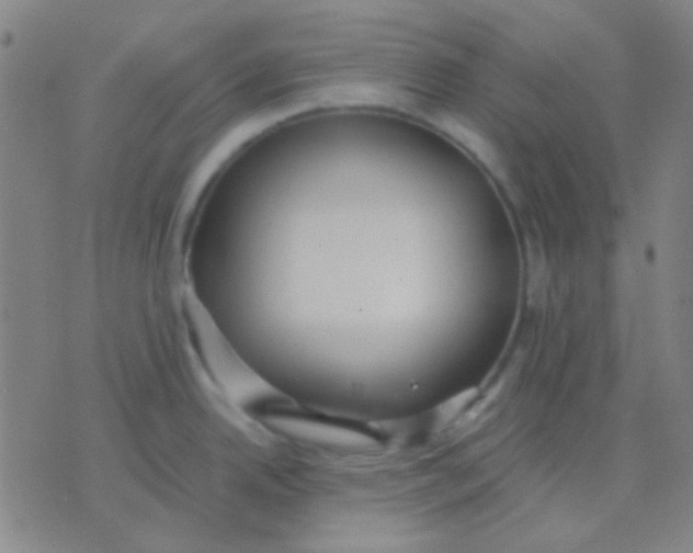 X0000075841342200610061838