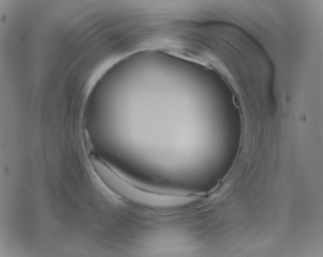 X0000075841344200610061838