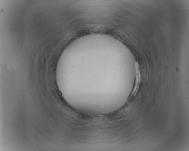 X0000075841345200610061837