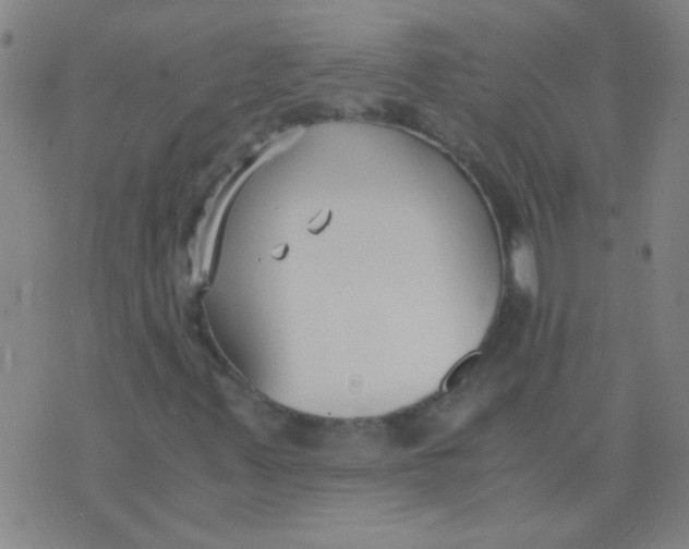 X0000075841347200610061837