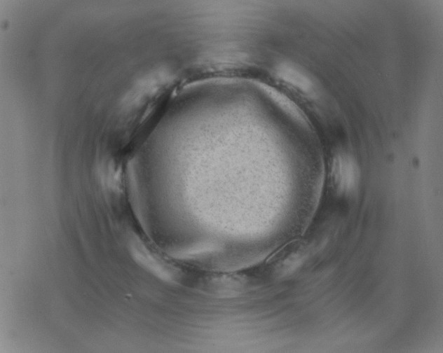 X0000075841348200610061837