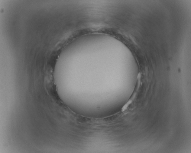 X0000075841349200610061837