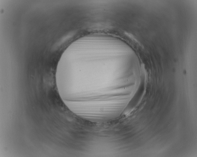 X0000075841350200610061837