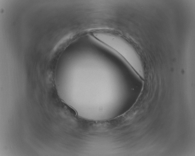 X0000075841351200610061837