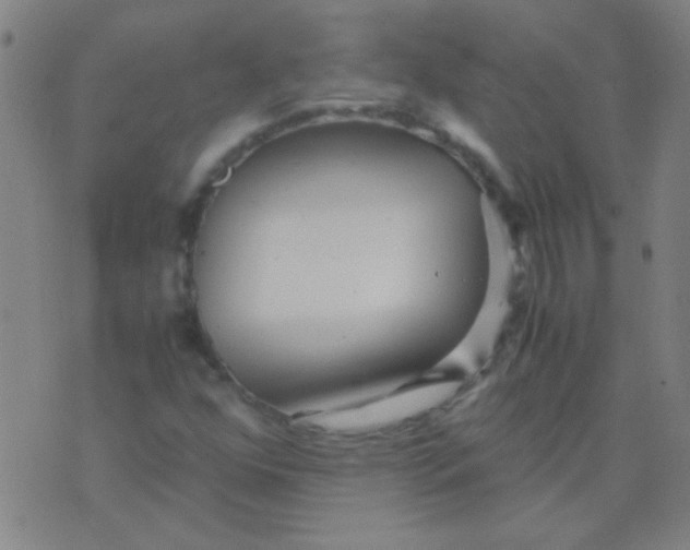 X0000075841352200610061837