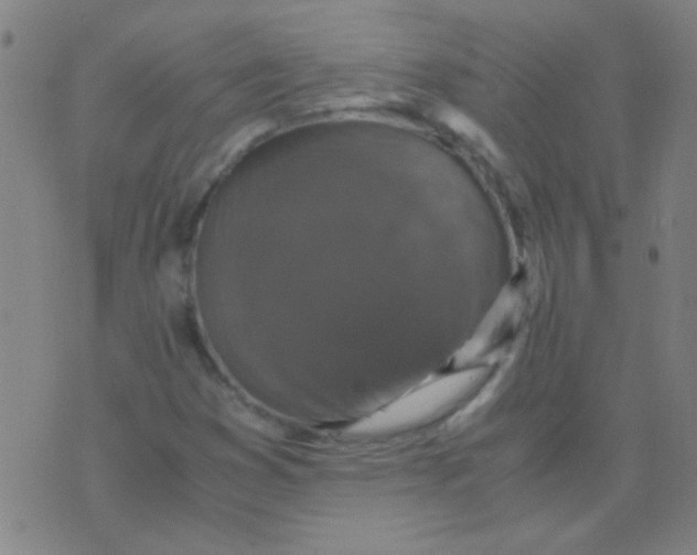 X0000075841353200610061837