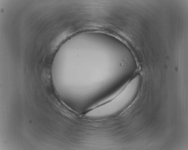 X0000075841355200610061837