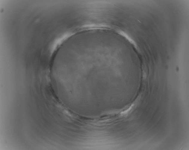 X0000075841357200610061837