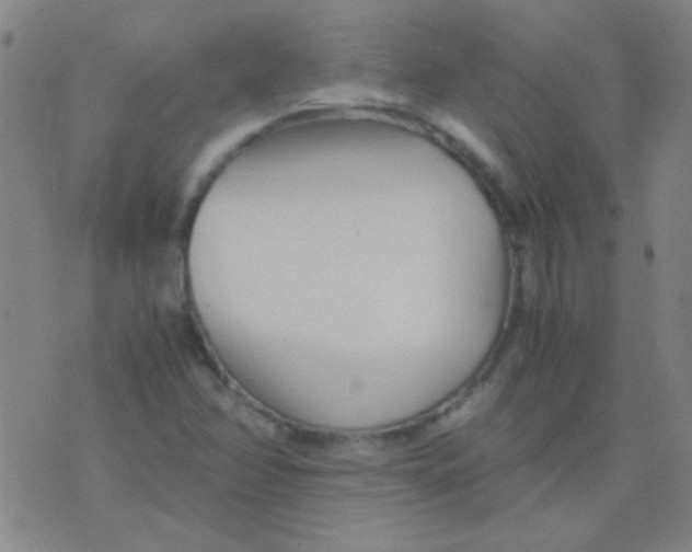 X0000075841358200610061837