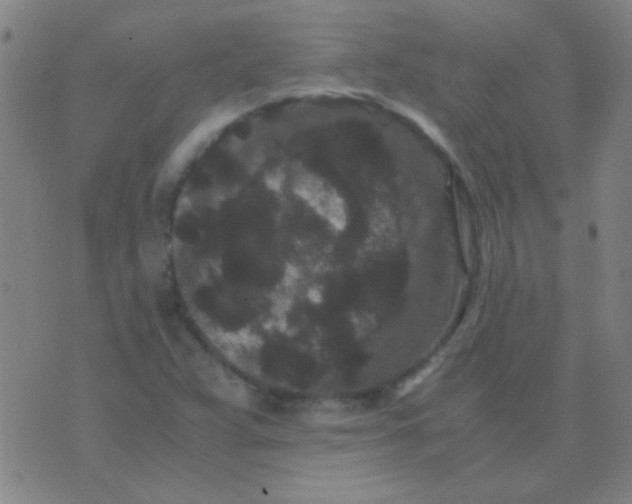 X0000075841359200610061837