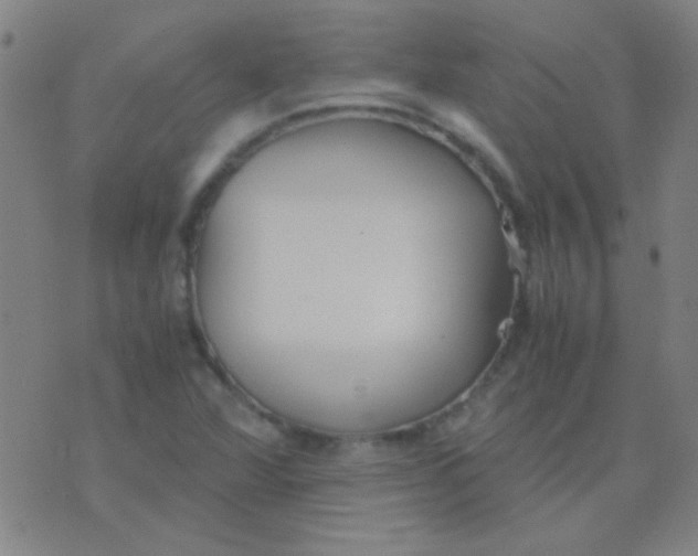 X0000075841360200610061837