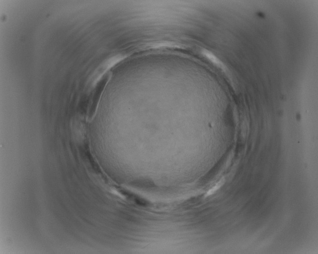 X0000075841361200610061837