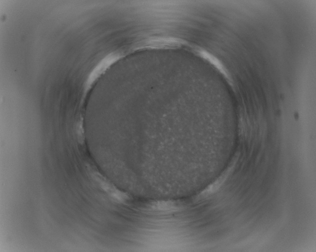 X0000075841362200610061836