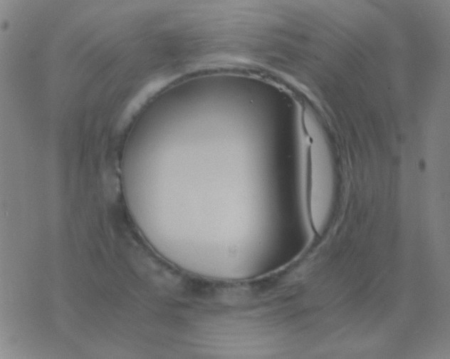 X0000075841363200610061836