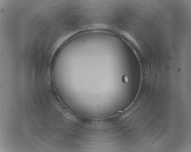 X0000075841364200610061836