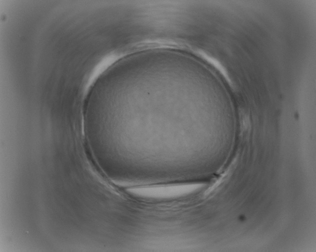 X0000075841365200610061836