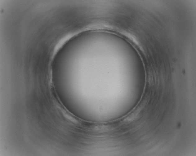 X0000075841366200610061836