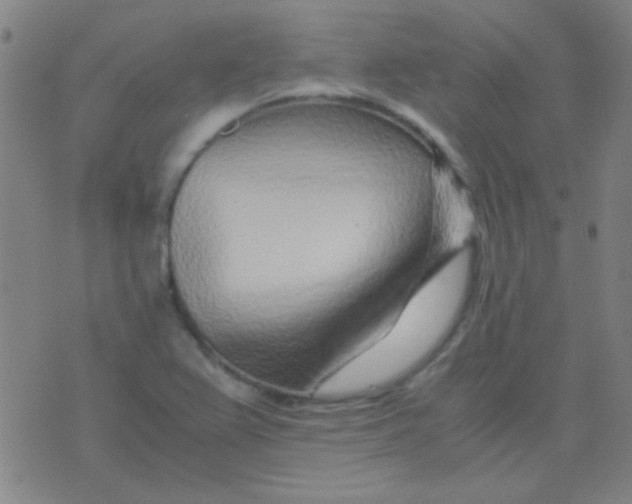 X0000075841367200610061836