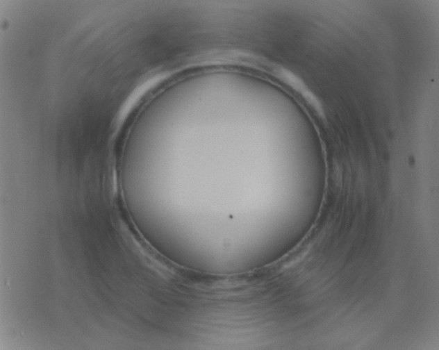 X0000075841368200610061836