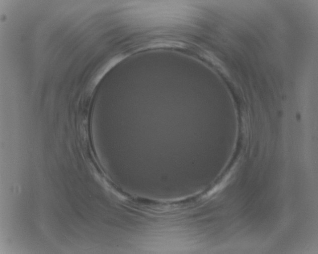 X0000075841369200610061836