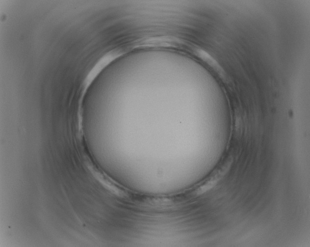 X0000075841370200610061836