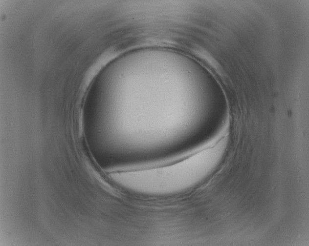 X0000075841371200610061836