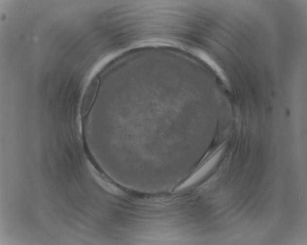 X0000075841372200610061836