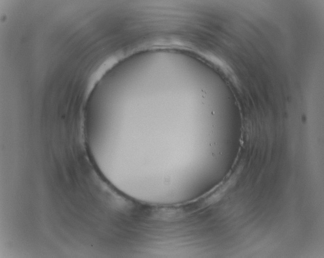 X0000075841374200610061836