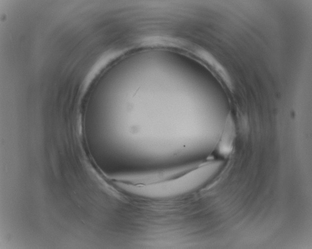 X0000075841376200610061836