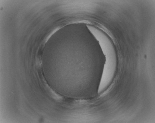 X0000075841377200610061836