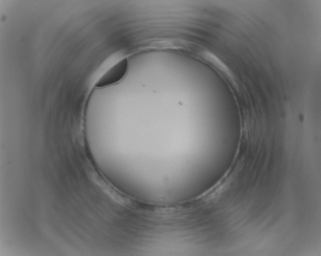 X0000075841378200610061836